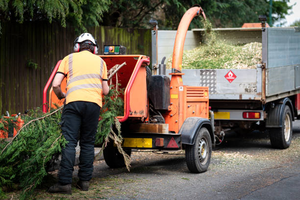 Best Lawn Grading and Leveling  in Tracy, CA